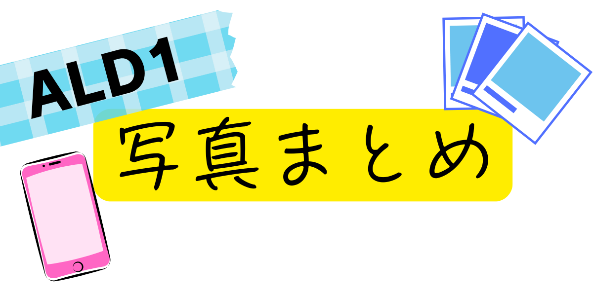 写真画像